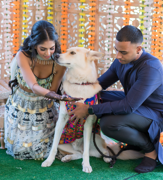 Archal Shon Mehndi-229 3000