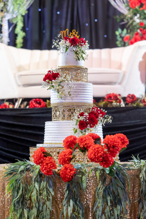 Jasmin Ricky Reception-163 1290