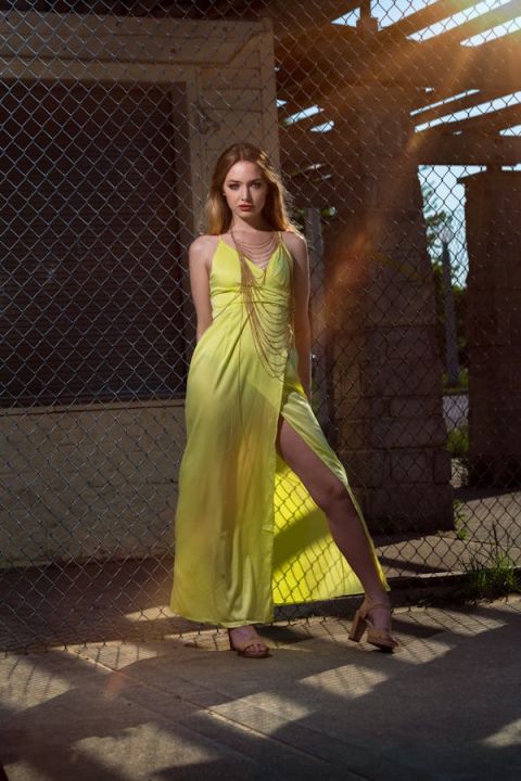 free-photo-of-sun-flare-1