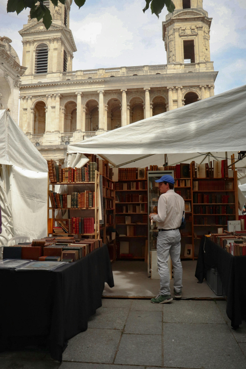 pexels-photo-28704263-3